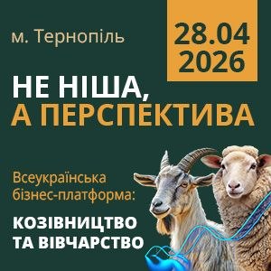 photo 5362084614442258830 m