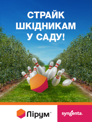 24002 Lirum web 300x400 2023 DBA 1